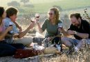 Sideways film recensione