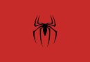 Spider-Man Spiegato